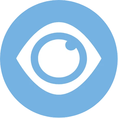 Vision