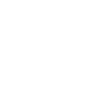 Seamless Digital Experience