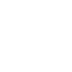 Responsive Support Team