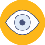 Vision